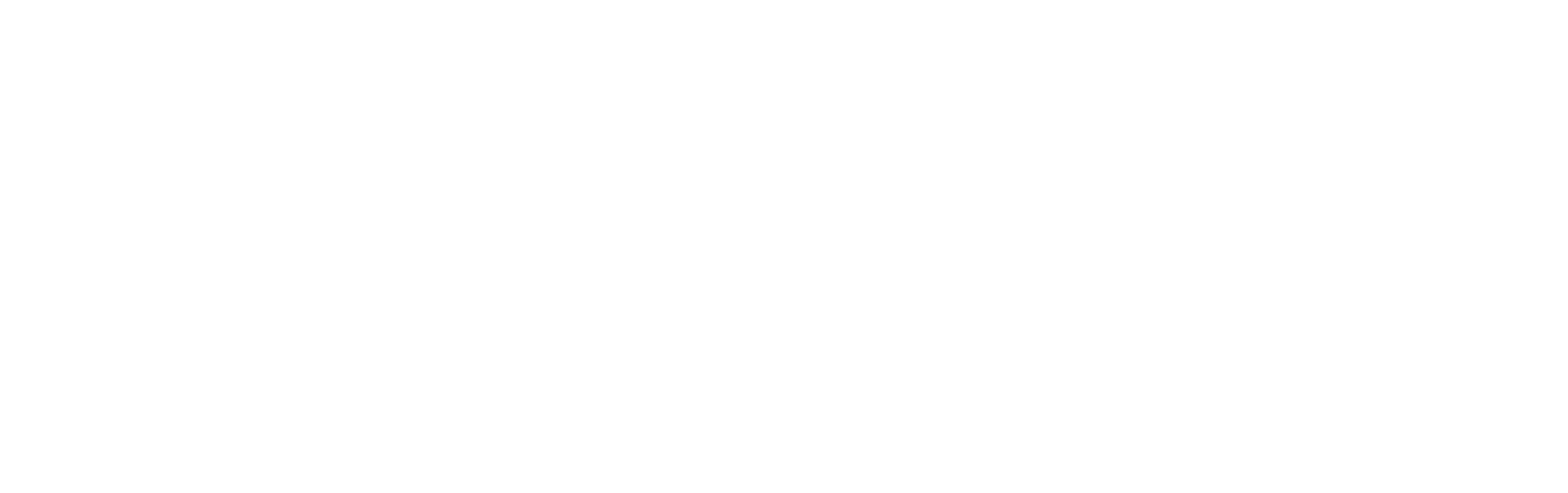Grupo Nuñez Punta Cana